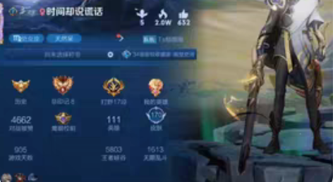 1月已共 安卓q区王者共号，长期共170个...