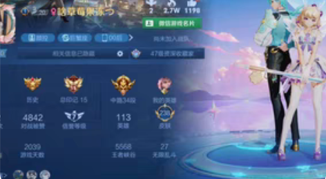 王者荣耀ios vx v10 113全英雄...