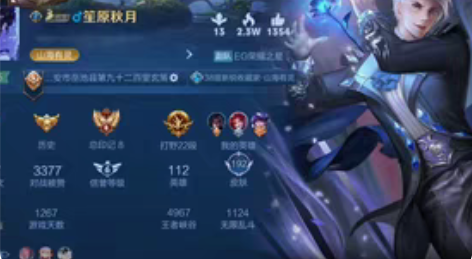 包邮王者荣耀wz手q安卓,有千年之狐飞衡挚...