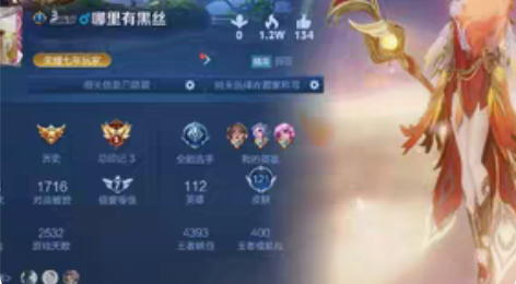 包邮王者账号买号QQ区，112英雄121皮...