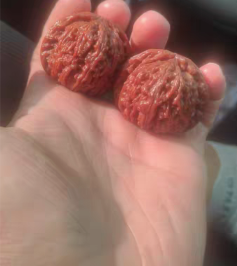 包邮闷尖白狮子  粗劲满肉  盘玩2年+，...