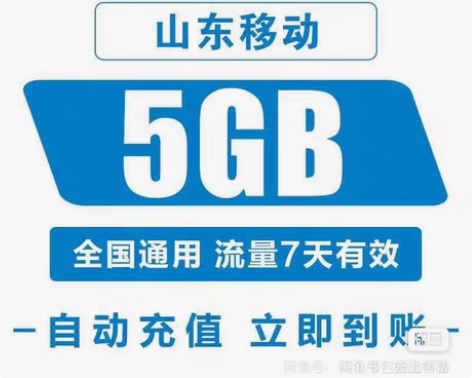 包邮在线秒回）  山东移动全国流量  5G...