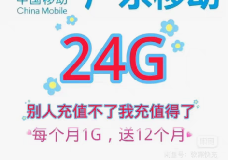 广东移动流量 总24GB（分24个月到账每...