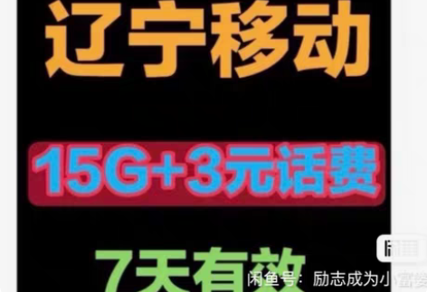 包邮闲置辽宁移动流量 15GB+3元话废 ...