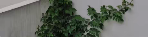 9折收中石化充值卡自用 只提供加油卡号 到...