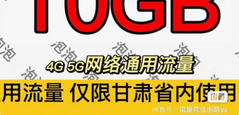 甘肃 电信流量 10GB(不扣费!) 甘肃...