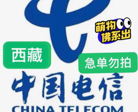包邮西藏电信充值96充100 下单需看： ...