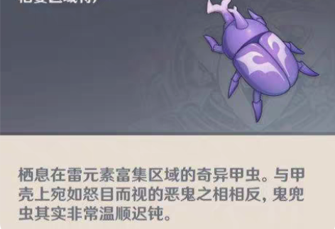 包邮原神代肝突破材料鬼兜虫(全程直播) 6...