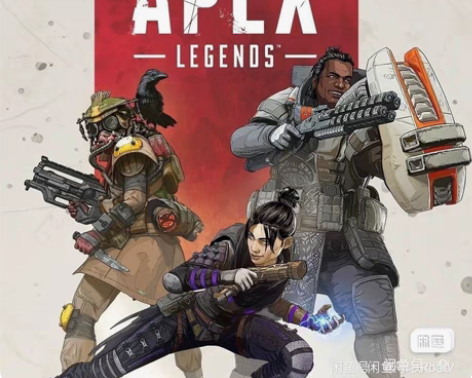 Apex ai  yolov5框架  图像...