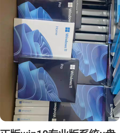 正版win10专业版系统u盘windows...