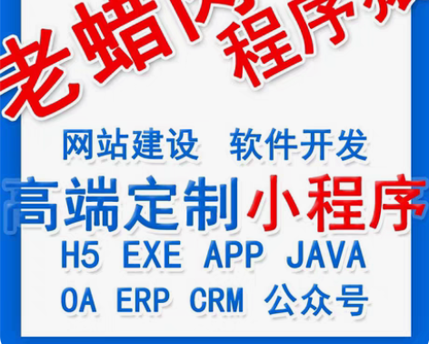包邮小程序开发 小程序云开发 网站开发 全...