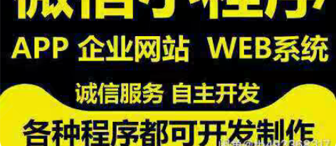 包邮各类软件 小程序 系统 应用开发 各类...