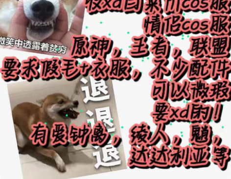 【收!】原神cos服,英雄联盟,王者荣耀!...