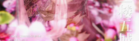 包邮【砖】白泽邮费 感兴趣的话点“我想要”...