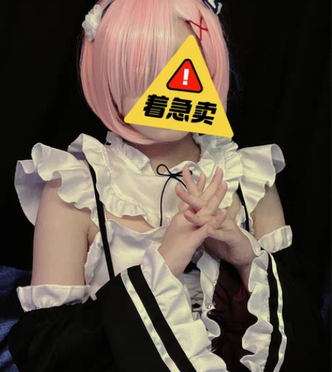 【出】 雷姆拉姆假发加衣服 都是试过妆一次...