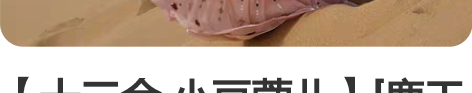 【十三余 小豆蔻儿】[鹿王梵音] 广袖重工...