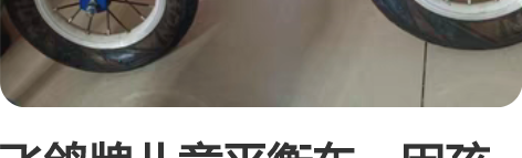 飞鸽牌儿童平衡车，因孩子大了，用不着了 感...