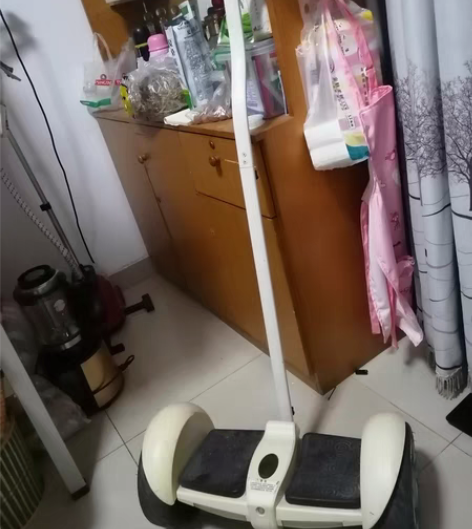 出领奥小旋风平衡车标准版白色 手控腿控，可...