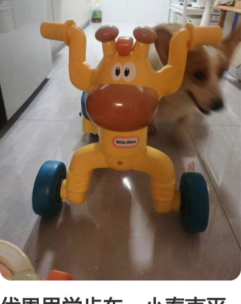 优恩思学步车，小泰克平衡车学步车，儿童玩具...
