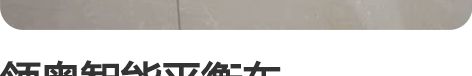 领奥智能平衡车2022.02.08购买，成...