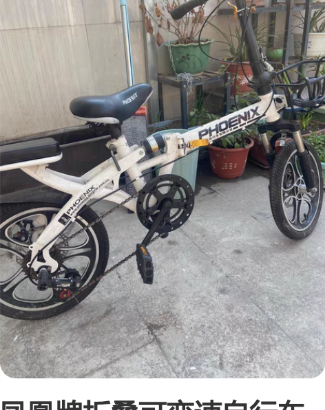 凤凰牌折叠可变速自行车  从八岁到十八都可...