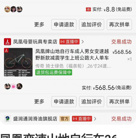 凤凰变速电动折叠车，后驱电机，电池放储物箱...