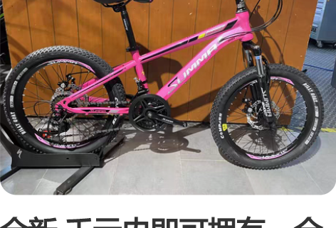 全新 千元内即可拥有，全新学生上学通行，2...