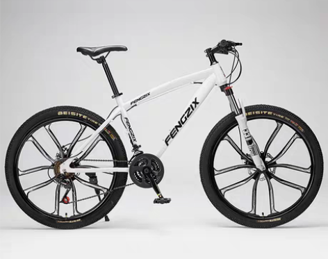 转卖上海凤凰车件有限公司山地自行车成人男女...