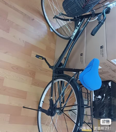 全新永久非常好骑的自行车出售，永久的，非常...