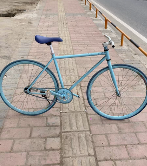 死飞自行车成人活飞倒刹固齿极简约肌肉男女式...