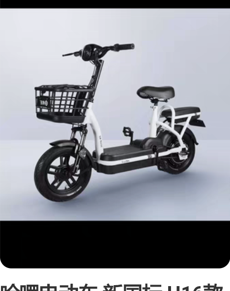 哈啰电动车 新国标 H16款 48/12铅...