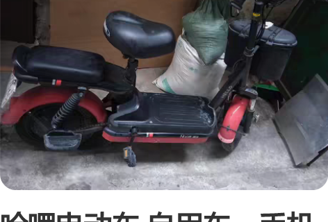 哈啰电动车 自用车，手机操作，手机定位，智...