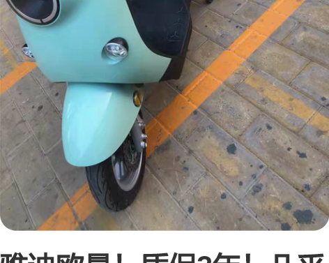 雅迪欧曼！质保3年！几乎全新！48 V 2...