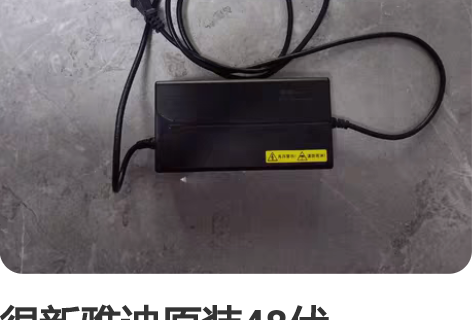 雅迪锂电原装充电器48V，要的私， 48V...
