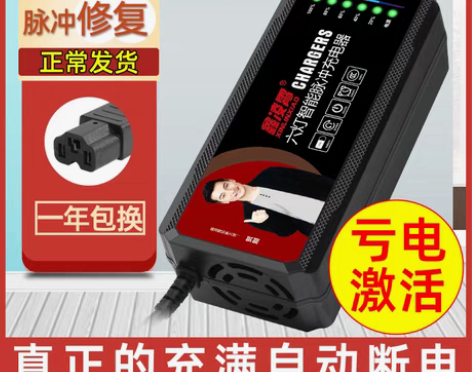 转卖电动车电瓶充电器48V12AH20AH...