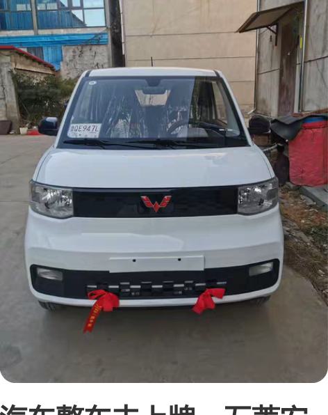 汽车整车未上牌，五菱宏光miniEV， 五...
