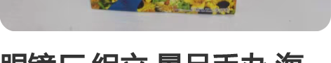 眼镜厂 组立 景品手办 海贼王 G##am...