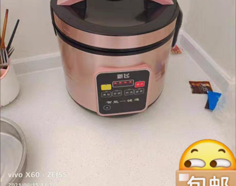 包邮【全新95元包邮】新飞家用智能预约定时...