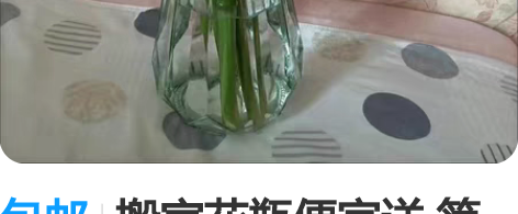 包邮搬家花瓶便宜送 简约玻璃花瓶水养韩式现...