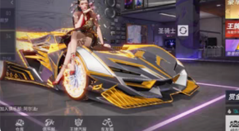 王牌竞速账号，充了1.8w，详情看图 感兴...