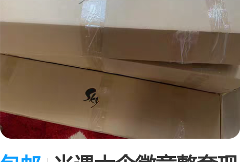 包邮光遇大伞徽章整套现货 伞徽章全新未拆封...