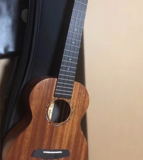 包邮恩雅 26寸EUT X2M，福利 全新...