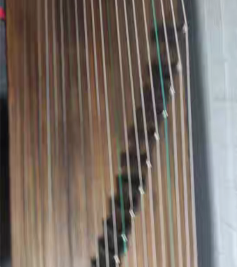 包邮高Fang敦煌学生网上买的出了5500...