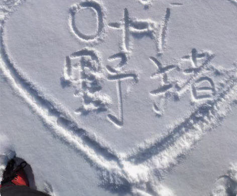 包邮雪地代写，表白祝福，生日祝福，新年祝福...