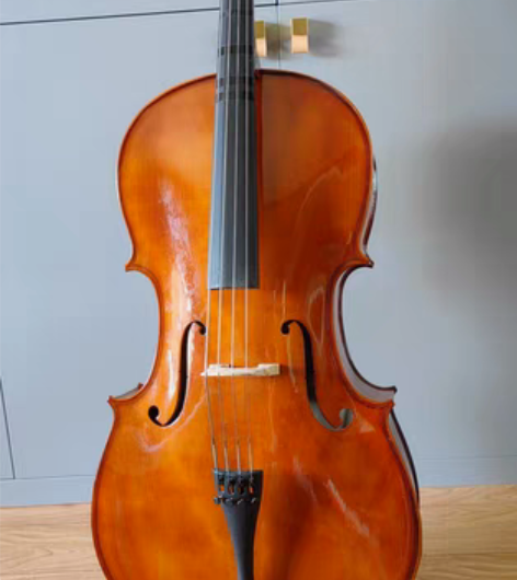 圣卡罗乐器，知音琴行购买 1/2  大提琴...