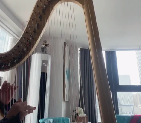 包邮竖琴 商演 教学 线下课 网课 均可 ...