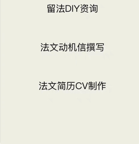 包邮【鱼鱼】法国留学咨询 / DIY流程咨...