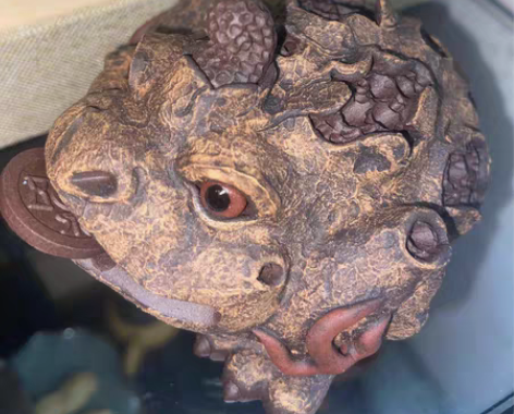 包邮茶庄转让，特价捡漏手工紫砂茶宠摆件，建...