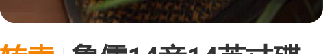 转卖鲁儒14音14英寸碟形鼓空灵鼓钢舌鼓色...
