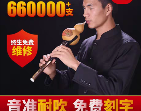 转卖葫芦丝乐器初学者降b调儿童小学生入门男...